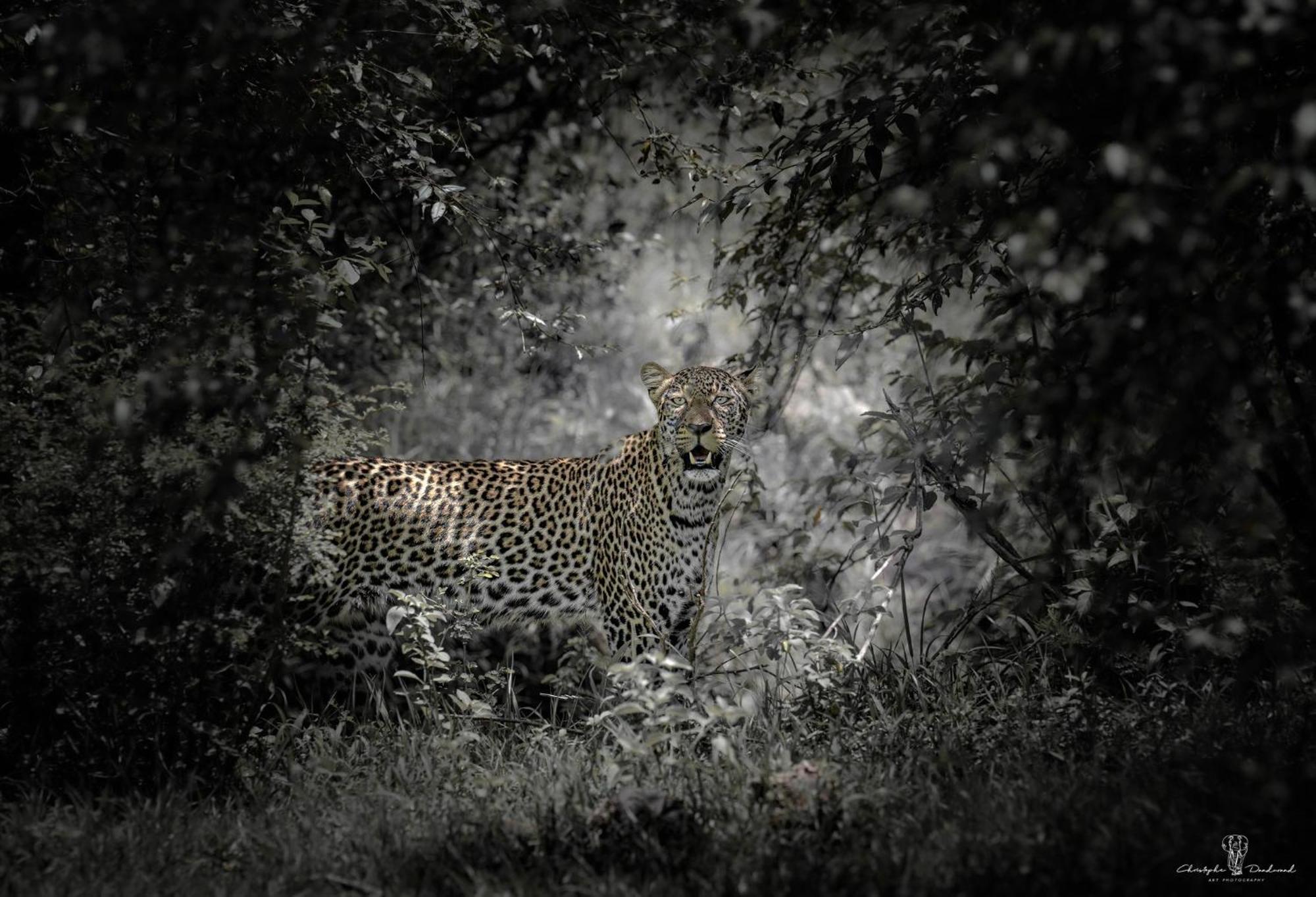 Hotel Mara Major Camp Maasai Mara Zewnętrze zdjęcie