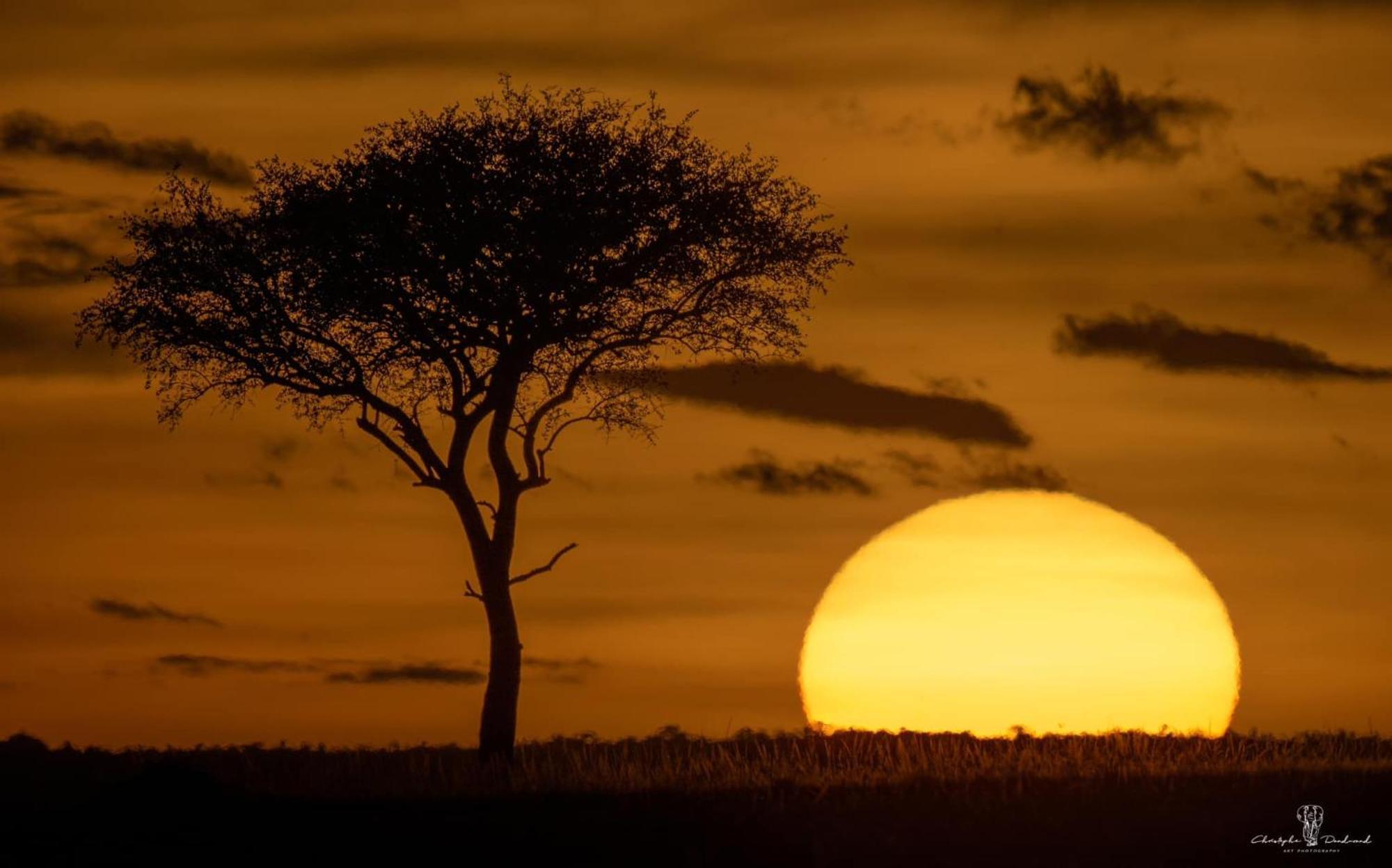 Hotel Mara Major Camp Maasai Mara Zewnętrze zdjęcie