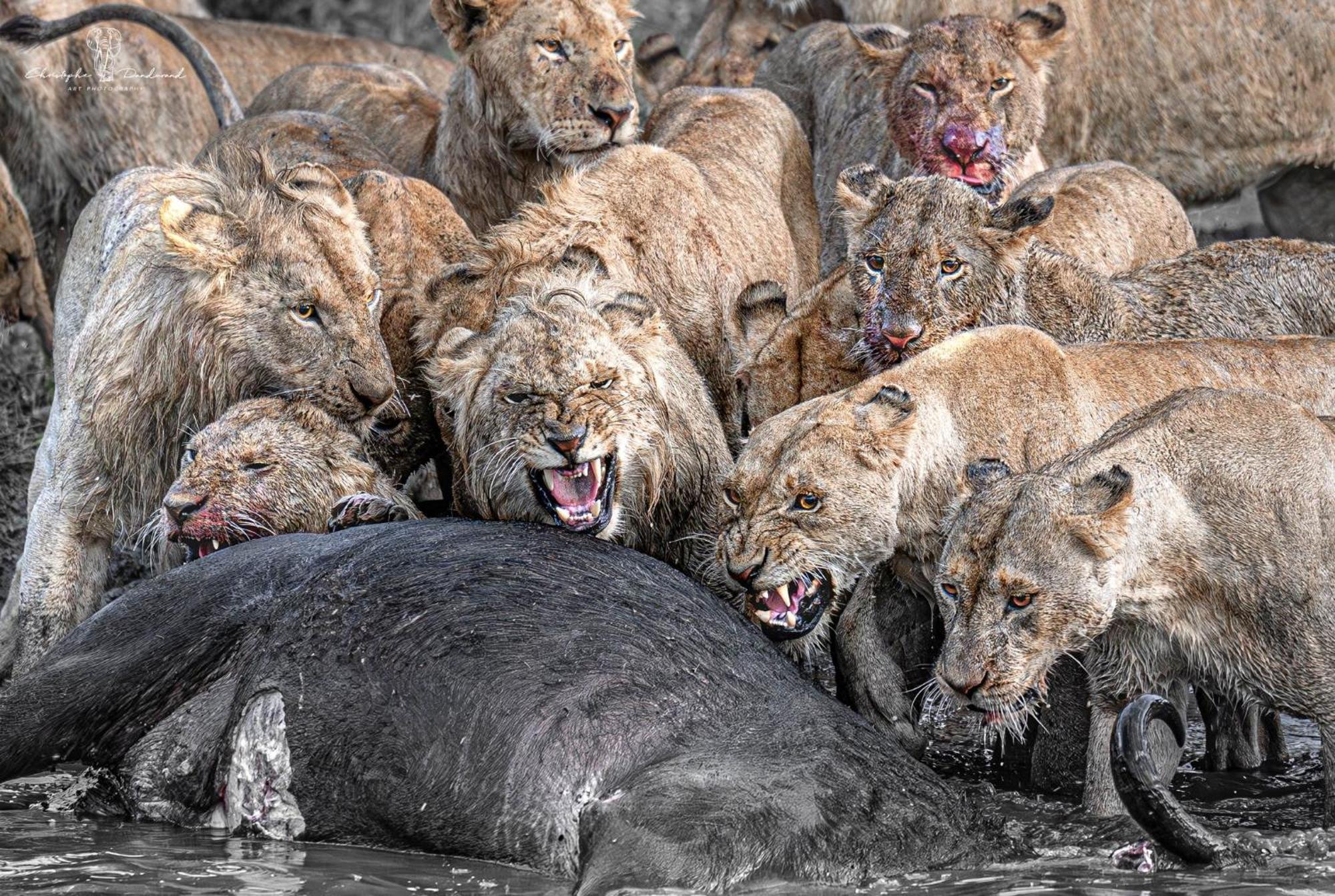 Hotel Mara Major Camp Maasai Mara Zewnętrze zdjęcie