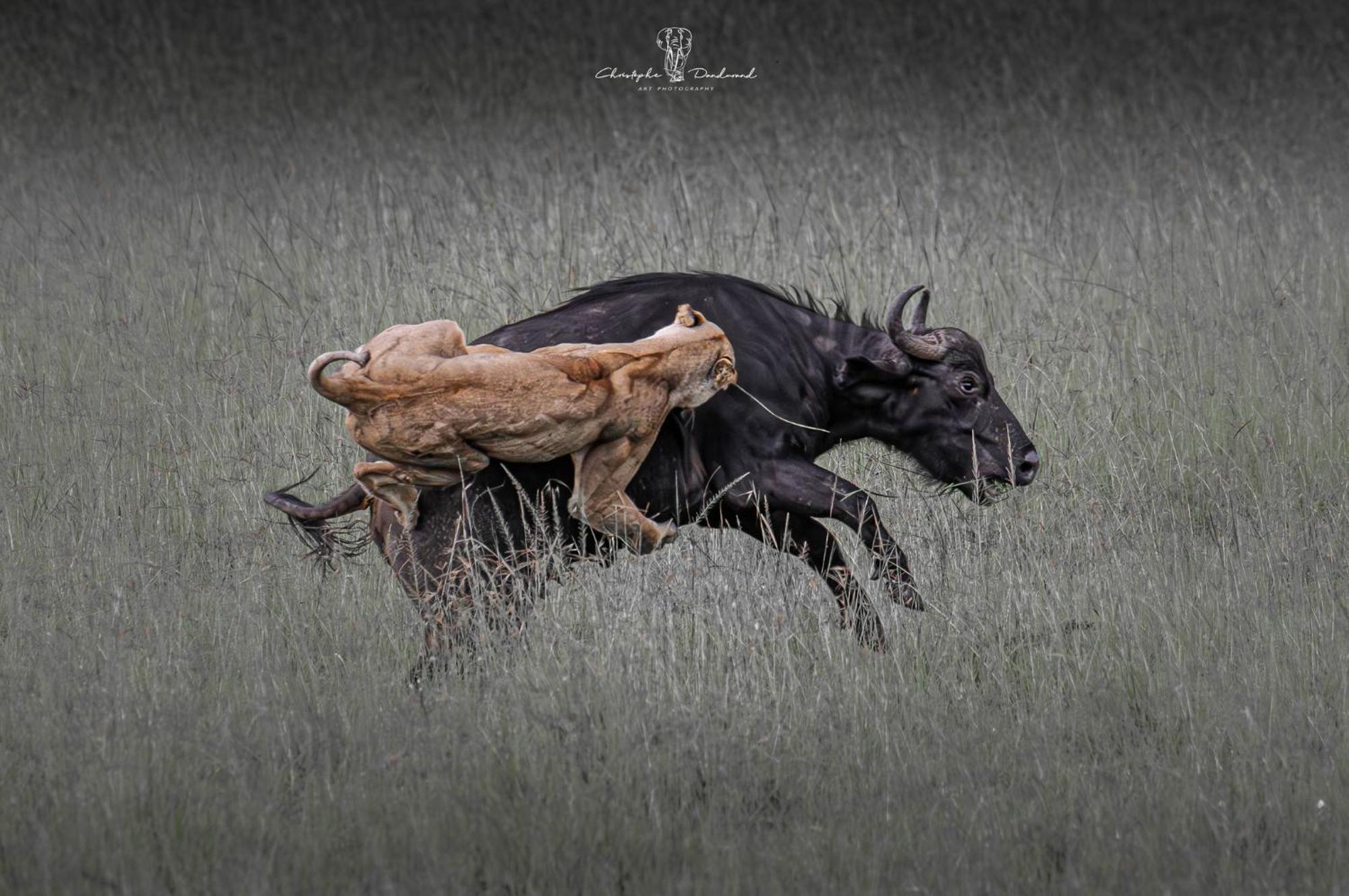 Hotel Mara Major Camp Maasai Mara Zewnętrze zdjęcie